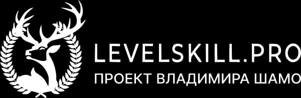 LEVELSKILL.PRO